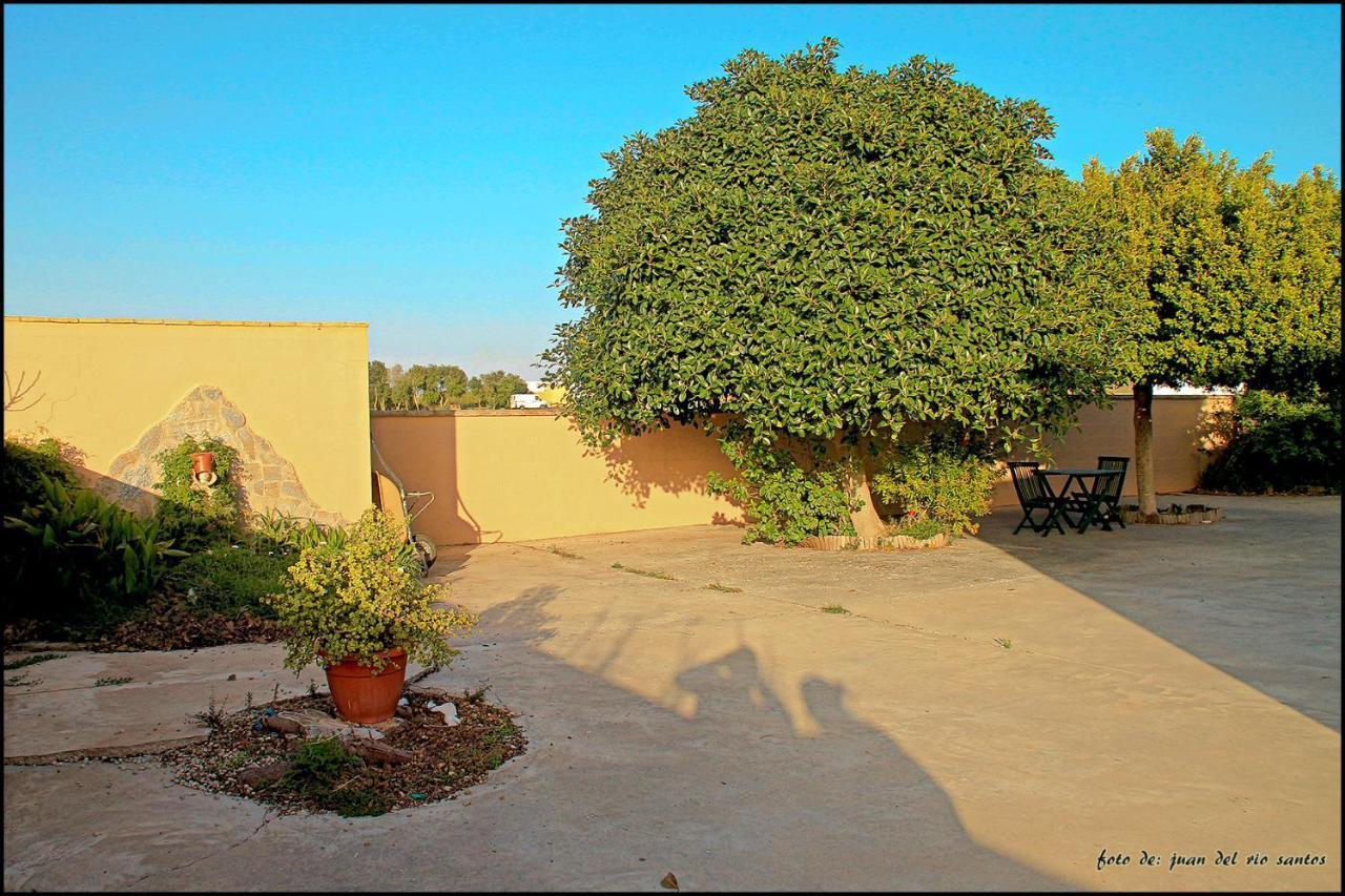 Mi Oasis Villa Conil de la Frontera Kültér fotó