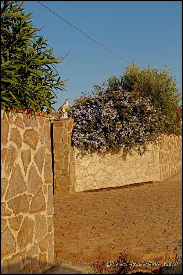 Mi Oasis Villa Conil de la Frontera Kültér fotó